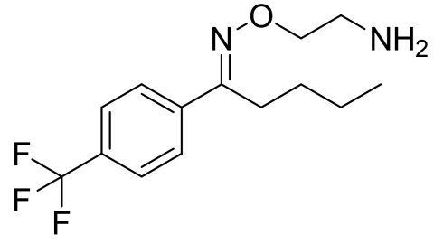 slide_1