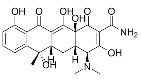 slide.1