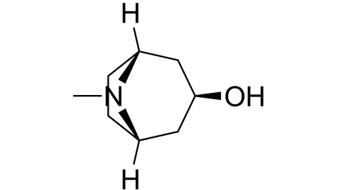 slide_1