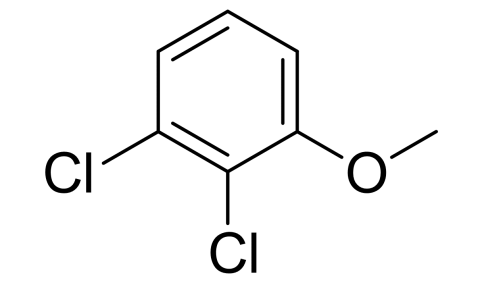 Slide_1