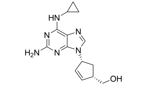 Slide_1