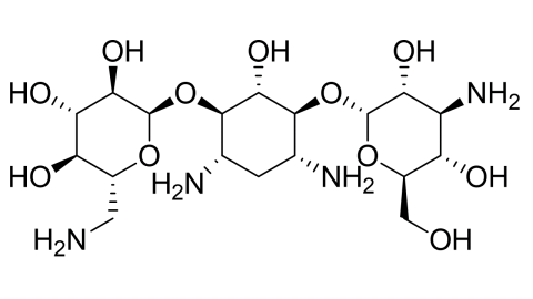 slide_1
