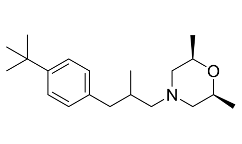 Slide_1