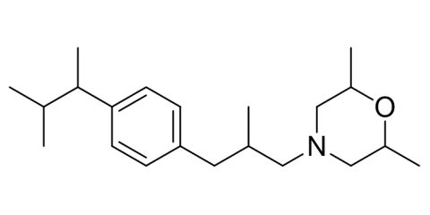 Slide_1