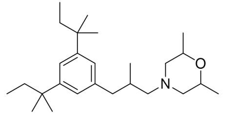 Slide_1