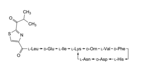 Slide_1