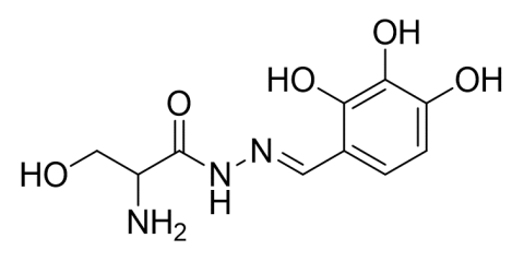 Slide_1