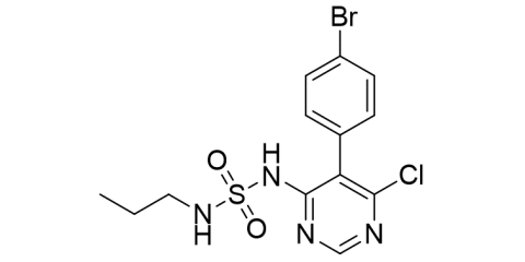 Slide_1