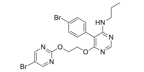 Slide_1