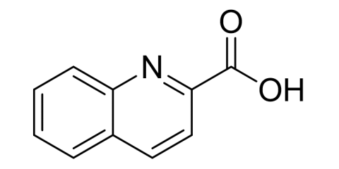 Slide_1